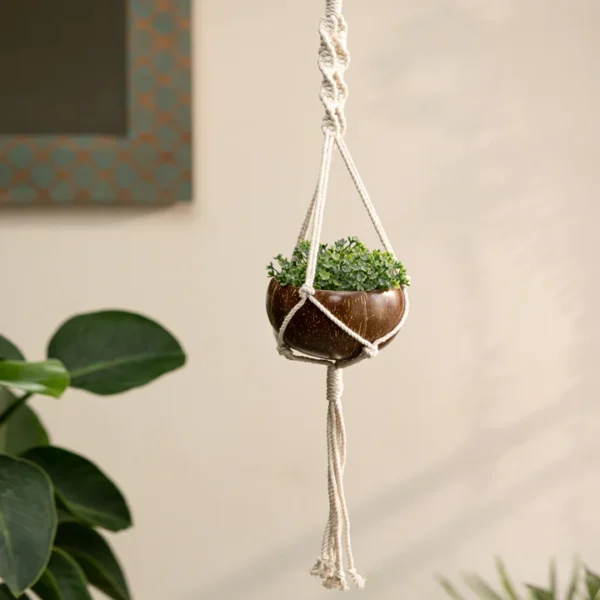 Coconut Shell Macrame Plant Hanger for Indoor & Balcony