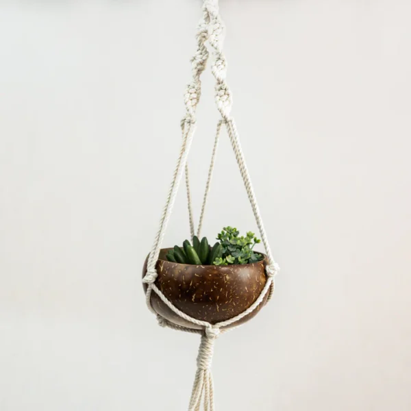 Coconut Shell Macrame Plant Hanger for Indoor & Balcony - Image 3