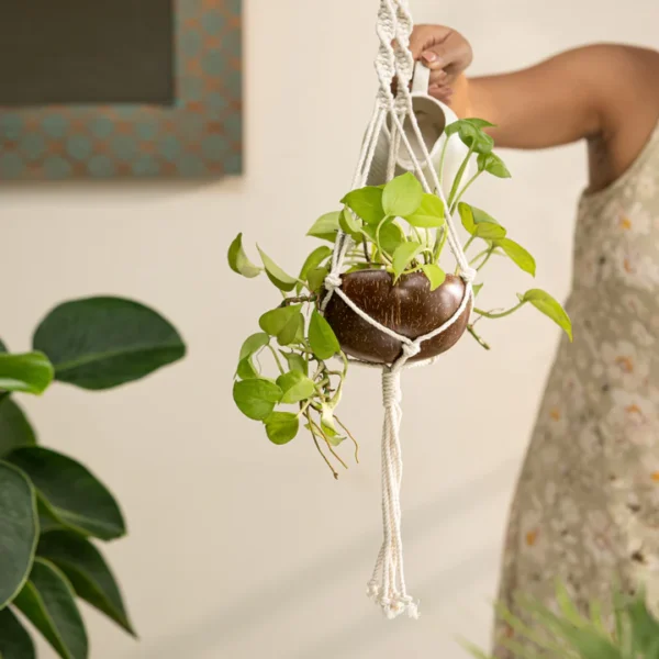 Coconut Shell Macrame Plant Hanger for Indoor & Balcony - Image 2