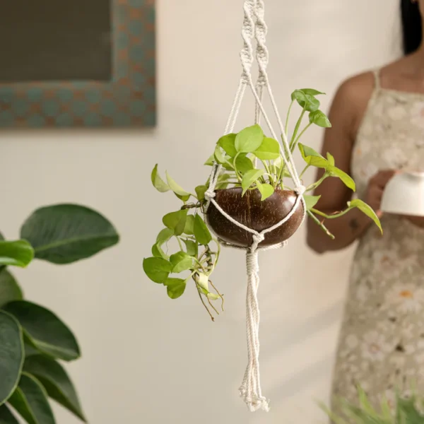 Coconut Shell Macrame Plant Hanger for Indoor & Balcony - Image 4