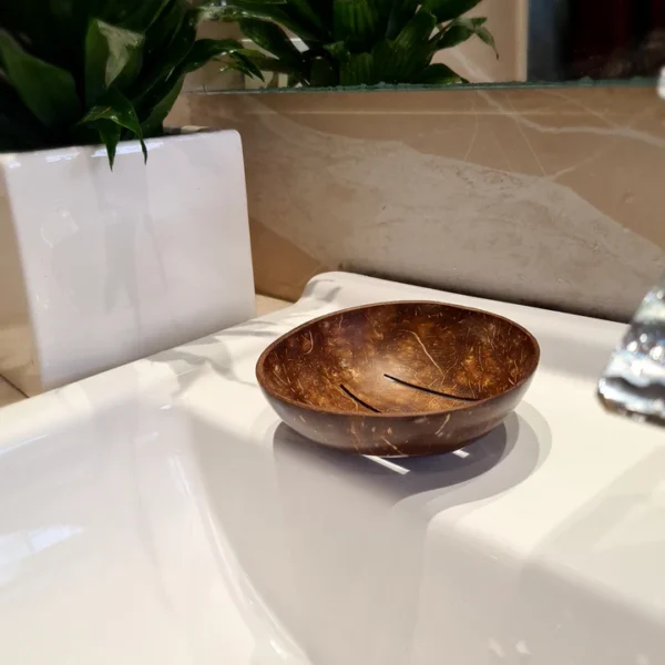 Coconut Soap Holder GBS Projects